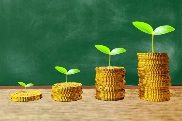 お金の芽画像