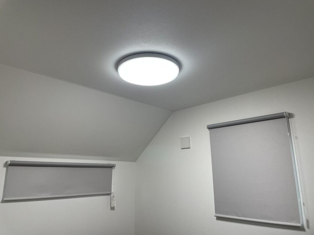電気画像