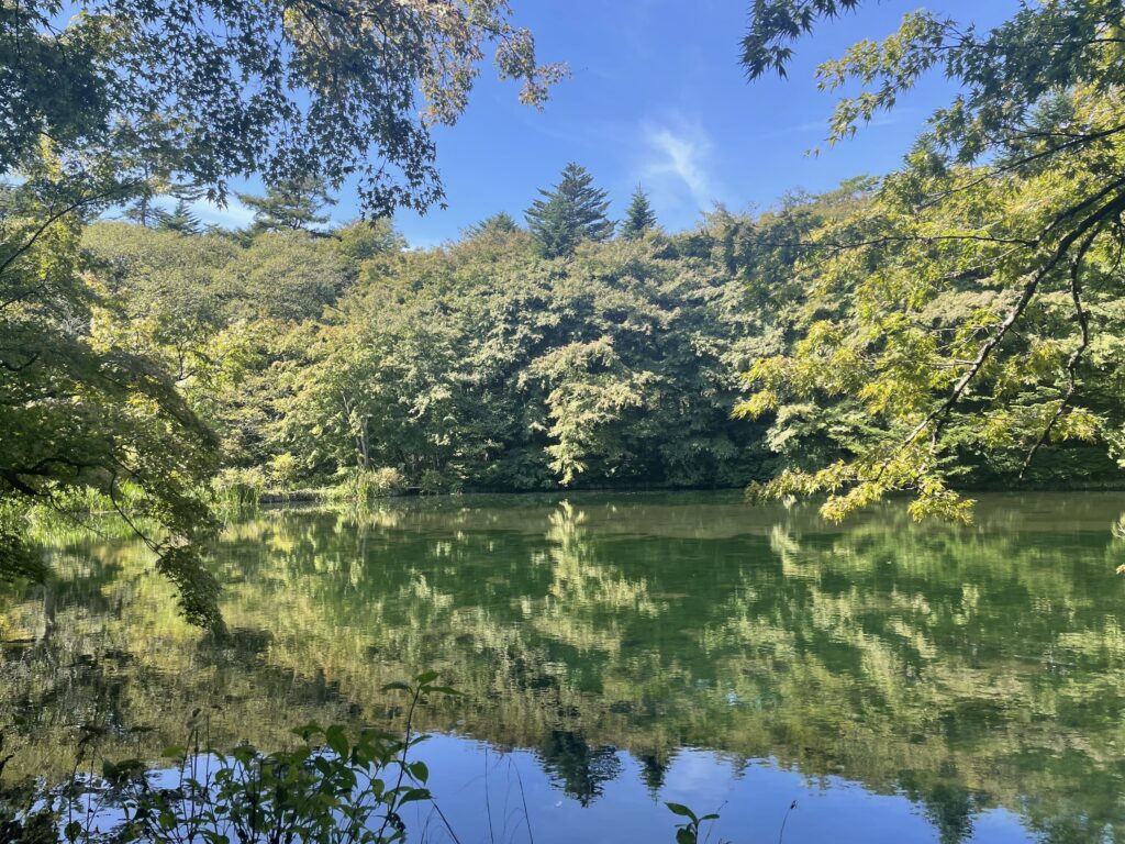 雲場池画像